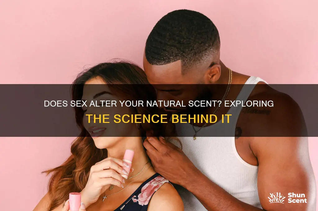 does sex change your scent