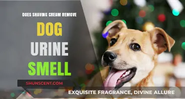Does Shaving Cream Really Eliminate Dog Urine Odor? Let's Find Out!