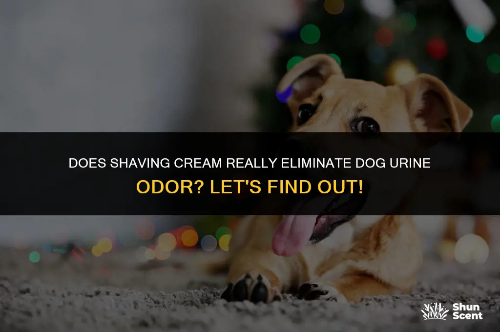 does shaving cream remove dog urine smell