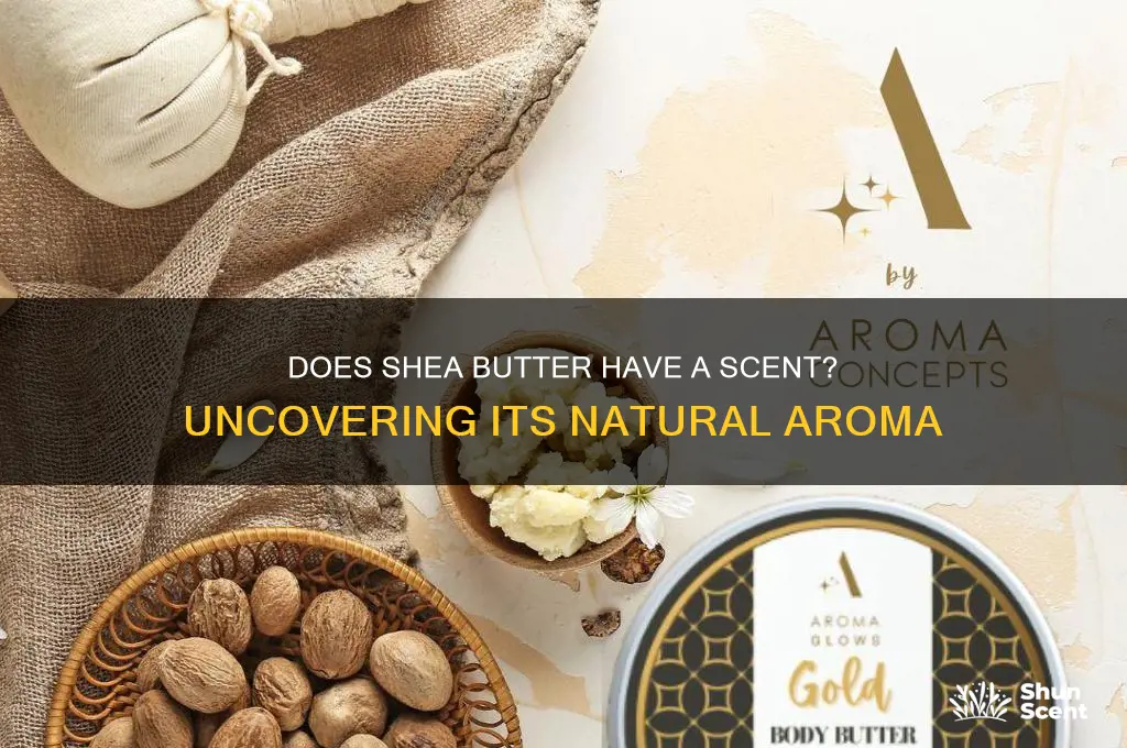 does shea butter have a scent