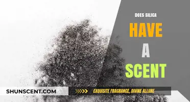 Does Silica Have a Scent? Uncovering the Truth About Its Odor