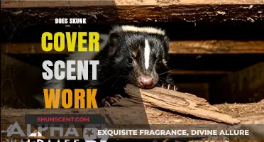 Does Skunk Cover Scent Work? Unveiling the Truth Behind the Myth