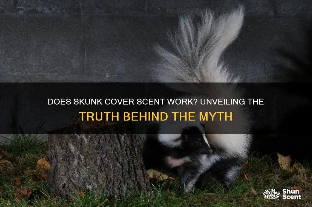 does skunk cover scent work