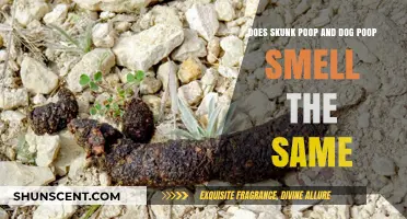 Exploring the Odor: Skunk vs. Dog Poop - A Comparative Analysis