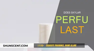 The Longevity of Skylar Perfumes: How Long Do They Last?