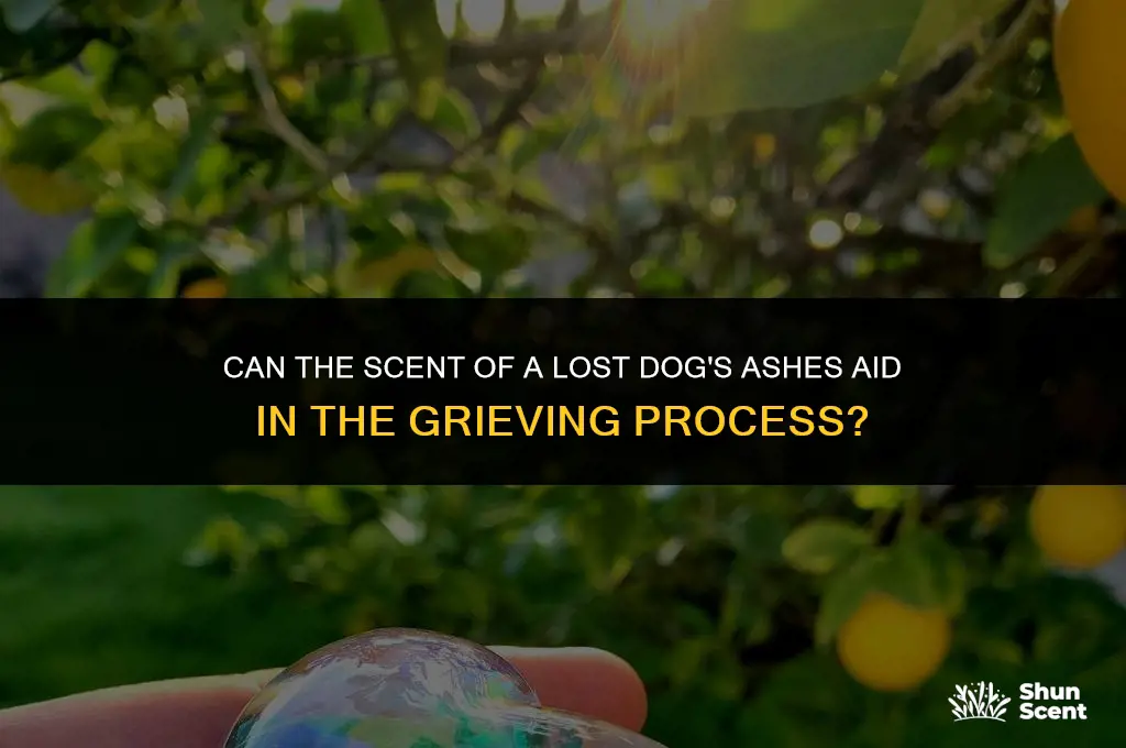 does smelling dogs ashes help the other with grieving