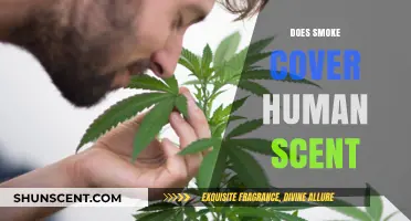 Does Smoke Mask Human Scent? Unraveling the Myth for Hunters and Survivalists