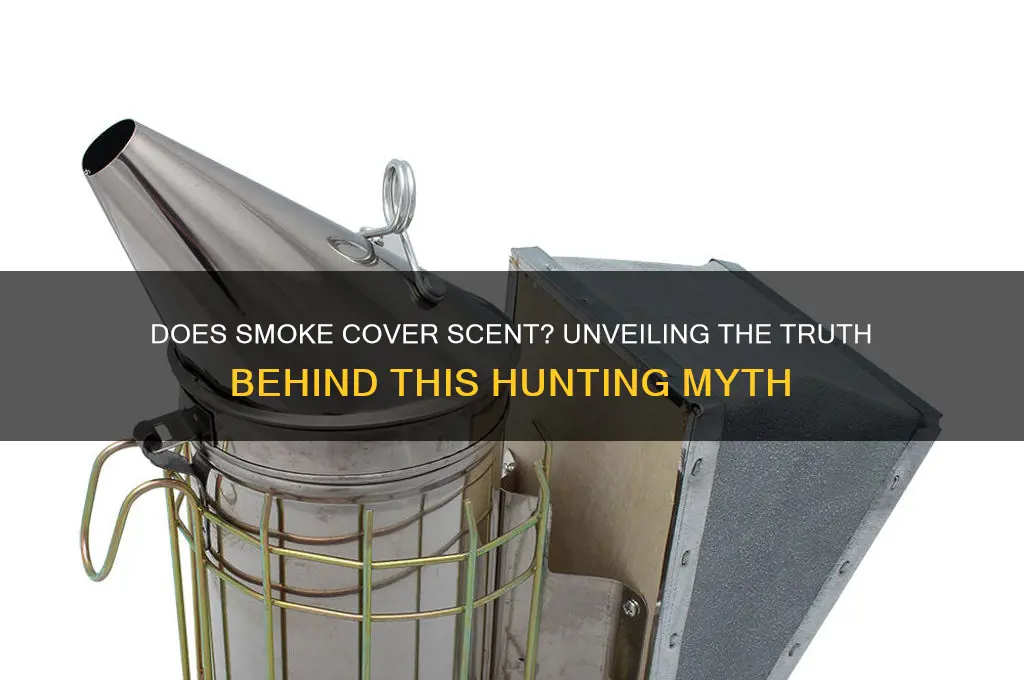 does smoke cover scent work