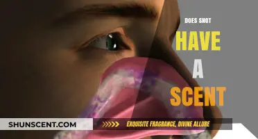 Does Snot Have a Scent? Unraveling the Smelly Truth About Nasal Discharge