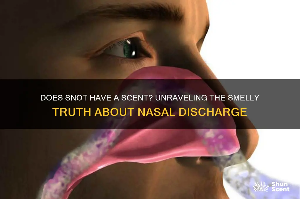 does snot have a scent