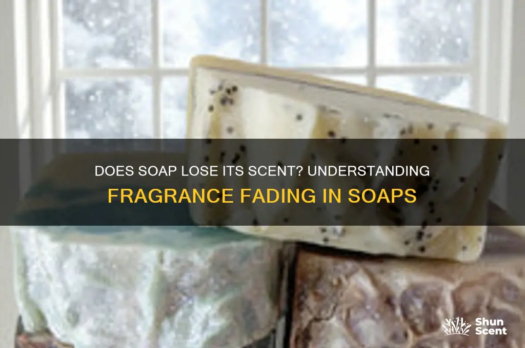 does soap lose its scent