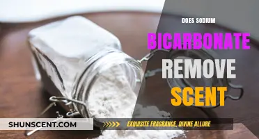 Can Sodium Bicarbonate Eliminate Odors? A Comprehensive Guide