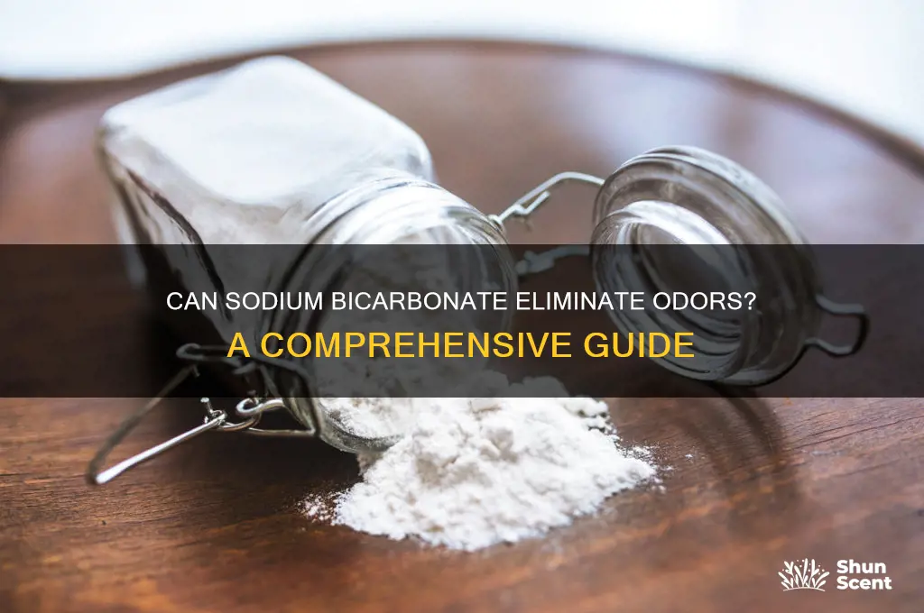 does sodium bicarbonate remove scent