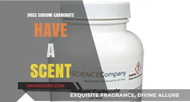 Does Sodium Carbonate Have a Scent? Uncovering the Truth