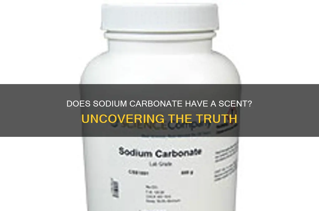 does sodium carbonate have a scent