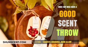 Soy Wax Scent Throw: Does It Deliver a Strong Aroma?