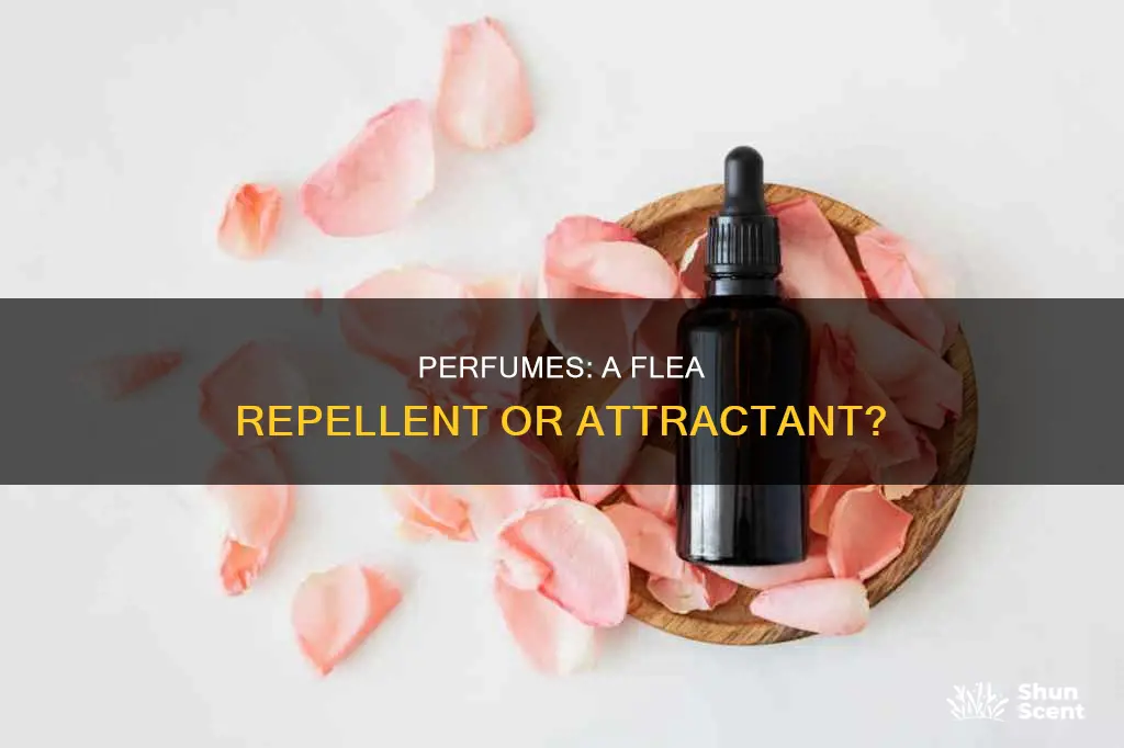 does sparying perfume make fleas go away