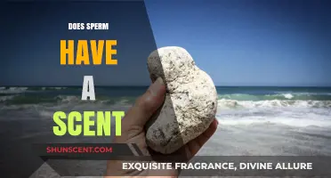 Unveiling the Truth: Does Sperm Have a Distinct Scent?