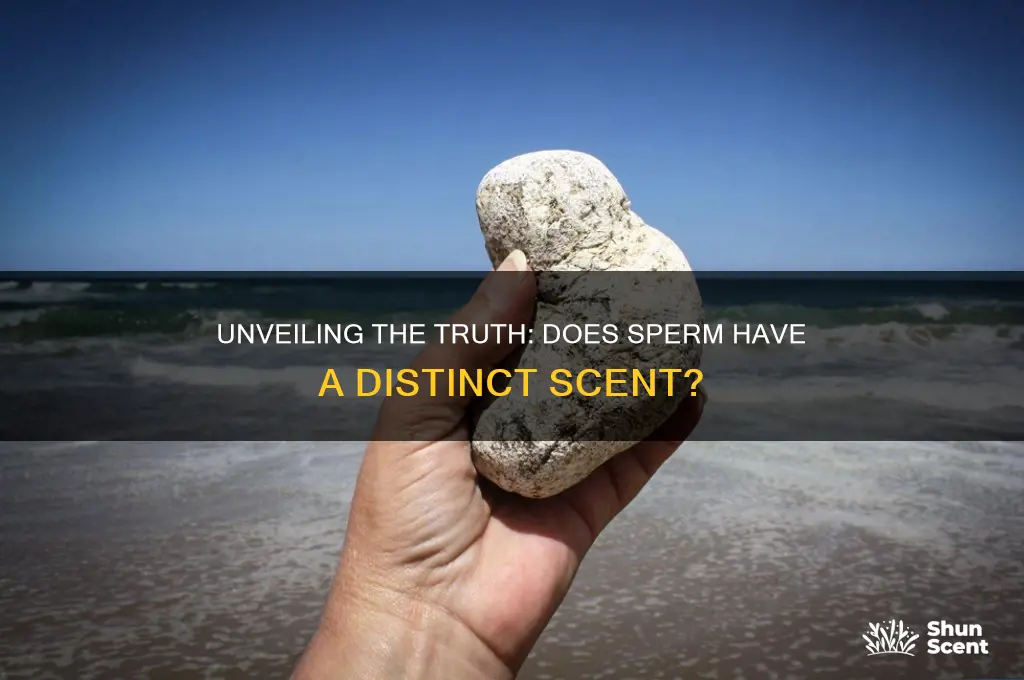 does sperm have a scent