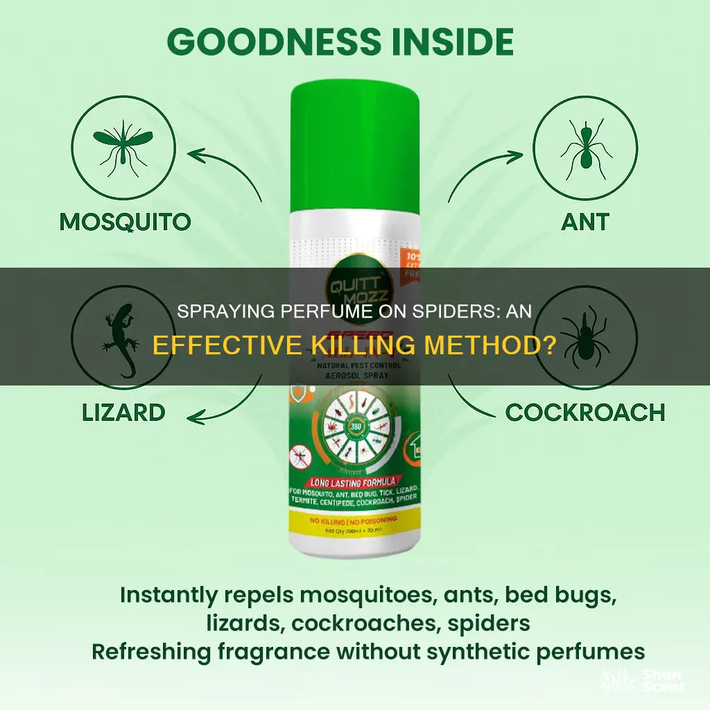 does spraying perfume on a spider kill it