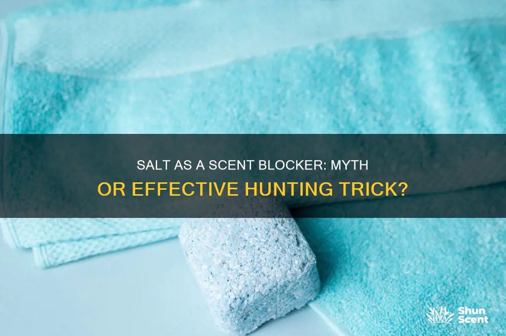 does sprinkling salt cover up your scent