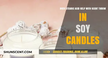 Stearic Acid's Role in Enhancing Soy Candle Scent Throw