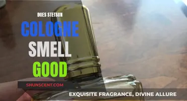 Stetson Cologne: Does It Smell Good or Bad?