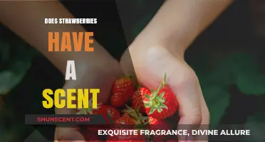 Do Strawberries Have a Scent? Exploring the Aromatic Truth