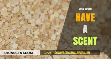 Does Sugar Have a Scent? Unraveling the Sweet Mystery