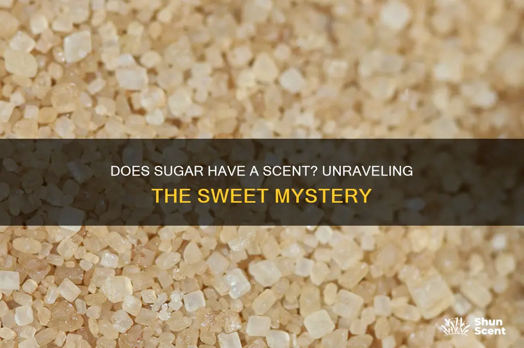 does sugar have a scent