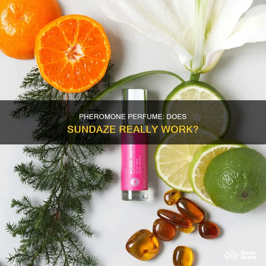 does sundaze pheromone perfume work