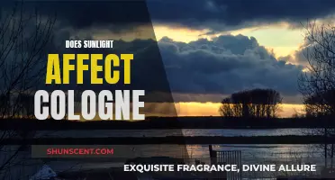 Sunlight's Impact on Cologne: Fading Fragrance or False Claim?