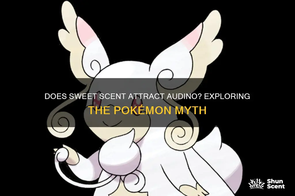 does sweet scent attract audino