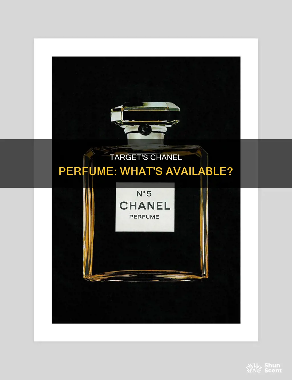 does target sell chanel perfume
