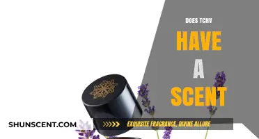 Does TCHV Have a Scent? Uncovering the Truth About Its Odor