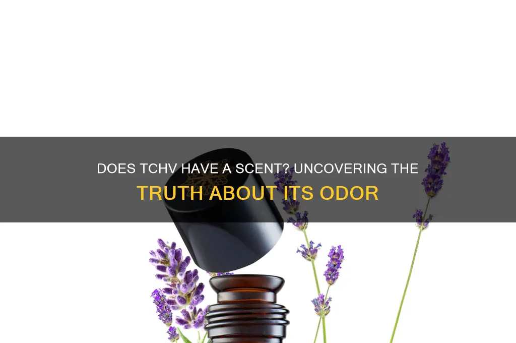 does tchv have a scent