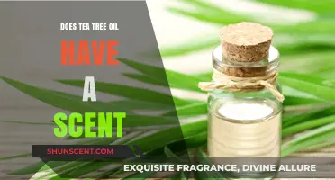 Exploring Tea Tree Oil's Distinctive Aroma: Does It Have a Scent?