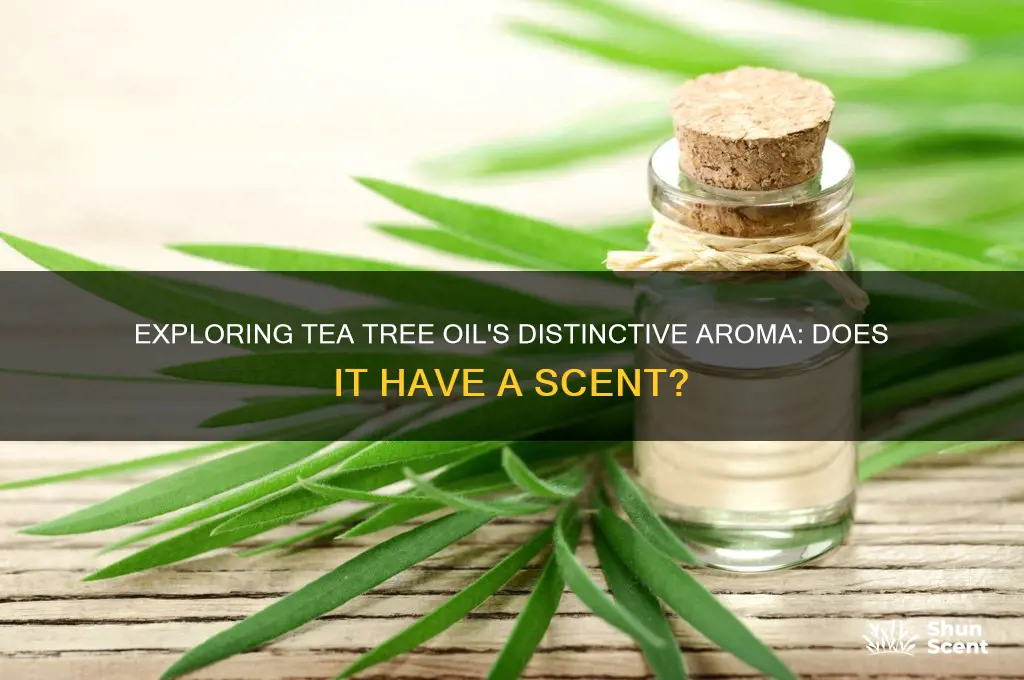 does tea tree oil have a scent