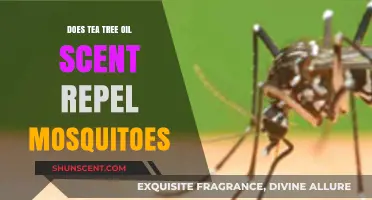 Tea Tree Oil Scent: Effective Mosquito Repellent or Myth?
