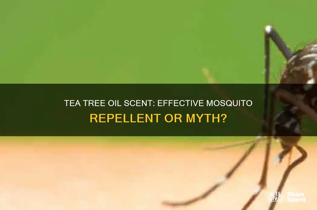 does tea tree oil scent repel mosquitoes