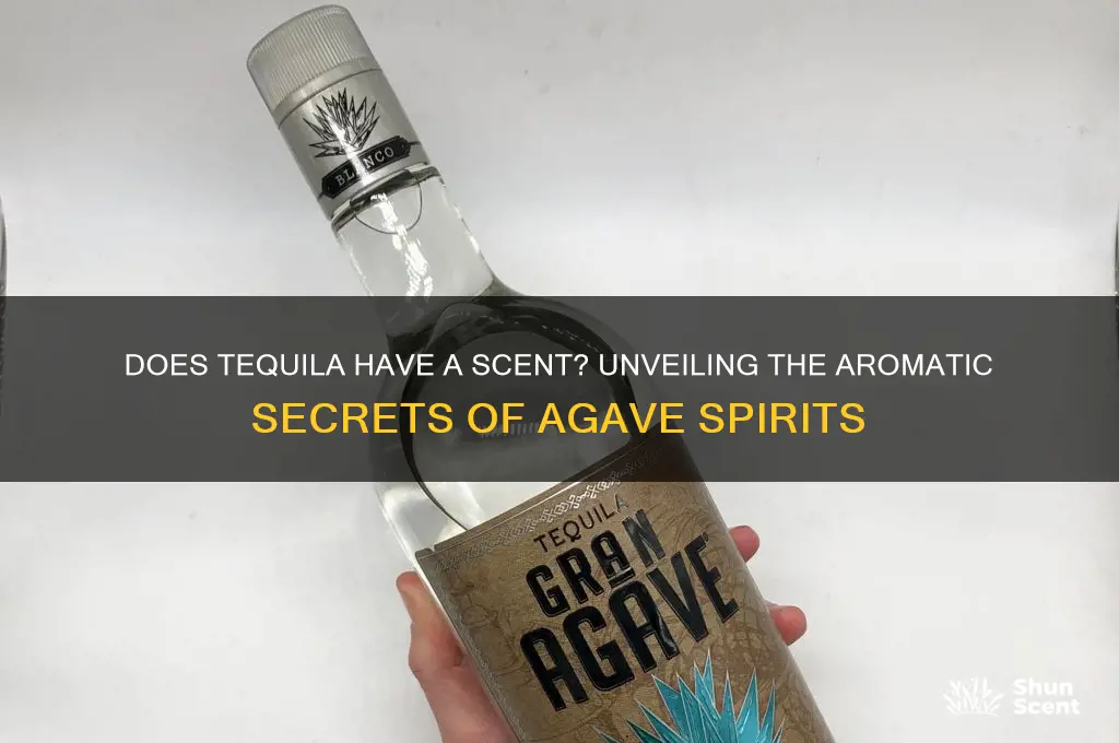 does tequila have a scent