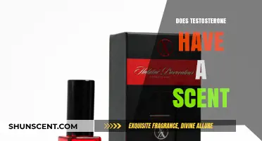 Does Testosterone Have a Scent? Unraveling the Science Behind Pheromones