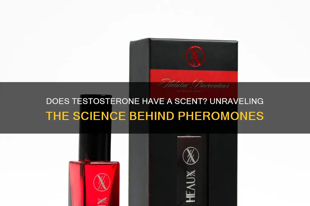 does testosterone have a scent