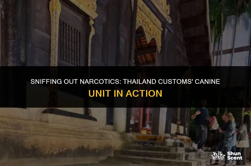 does thailand customs have drug smelling dogs