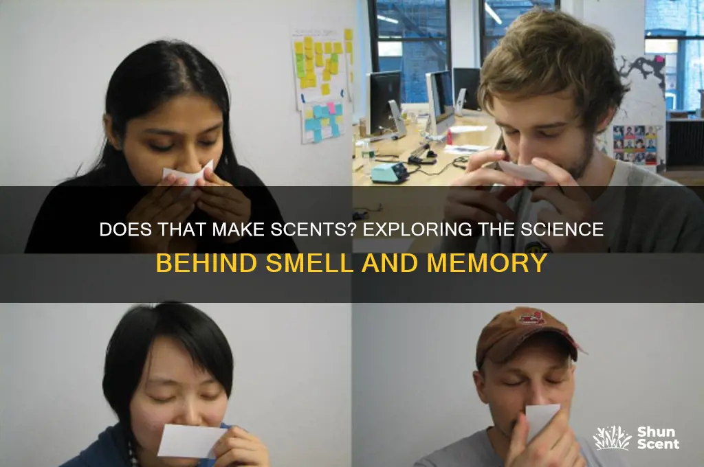 does that make scents