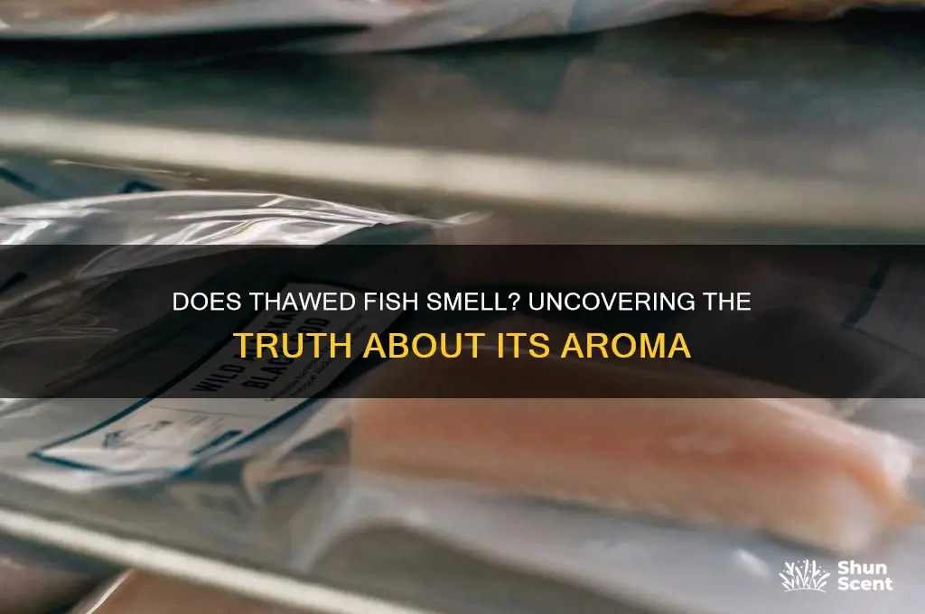 does thawed out fish have a scent