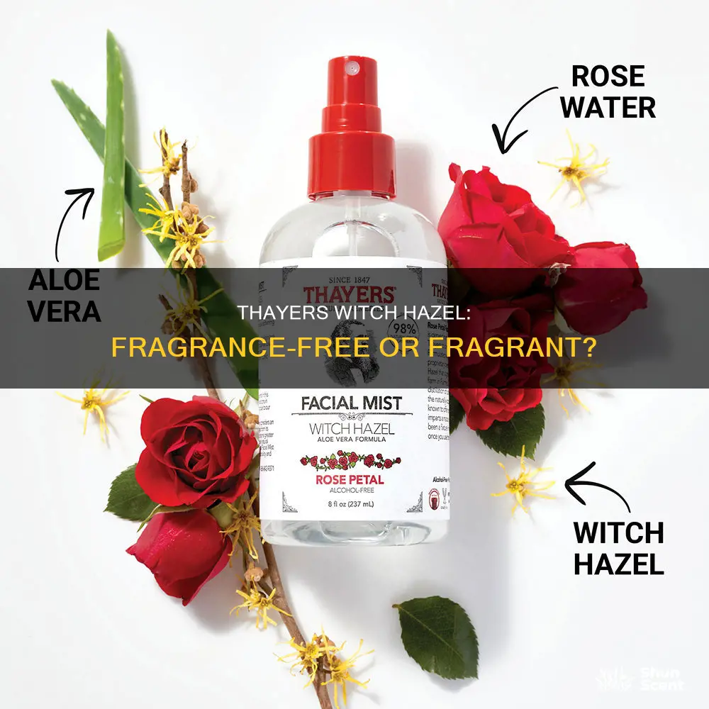 does thayers witch hazel have fragrance