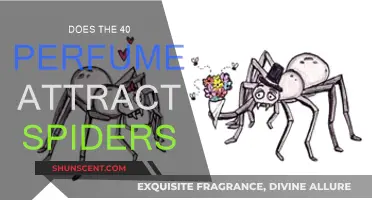 Spiders and the 40 Perfume: An Attraction or Coincidence?