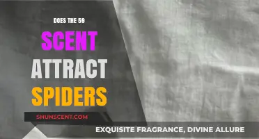 Unveiling the Truth: Does 59 Scent Attract Spiders to Your Home?