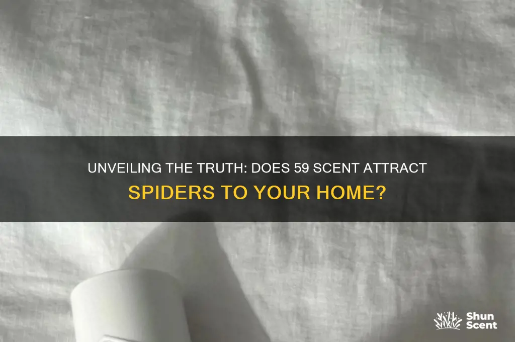 does the 59 scent attract spiders